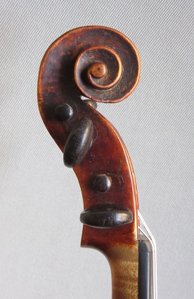Petit violon italien arlequin